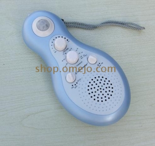 omejo Bathroom Spy Radio Hidden Camera Waterproof 1280X960 Motion Detection and Remote Control 16GB 